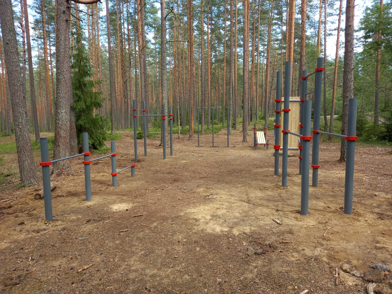 Обустроена лесопарковая зона на территории МО Зеленогорск