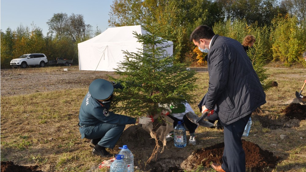 В Кронштадте прошла экологическая акция «Русский лес»