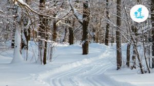 В Курортном районе зимой будут доступны 14 лыжных трасс