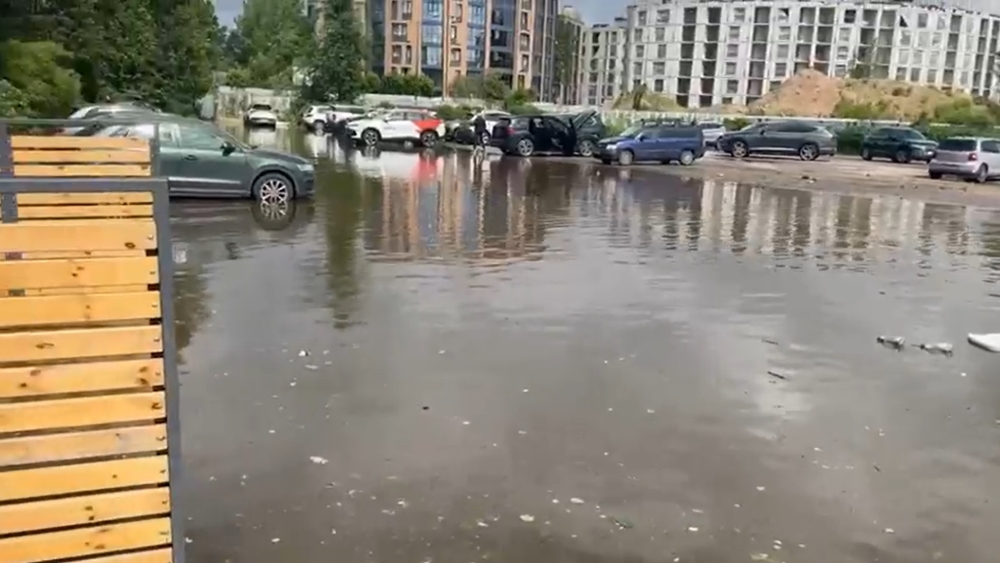 Прибрежные зоны Финского залива подтопило от Сестрорецка до поселка Ушково