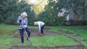 В Сестрорецке готовят скверы к осенним посадкам кустарников