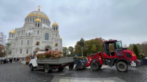 Скверы и улицы Кронштадта украсят растения сада-трансформера
