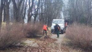 В Курортном районе полным ходом идет месячник благоустройства