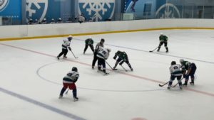 В Курортном районе прошел хоккейный фестиваль